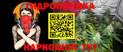 индика Пугачёв