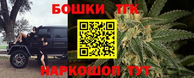 индика Пугачёв